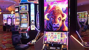 80bet